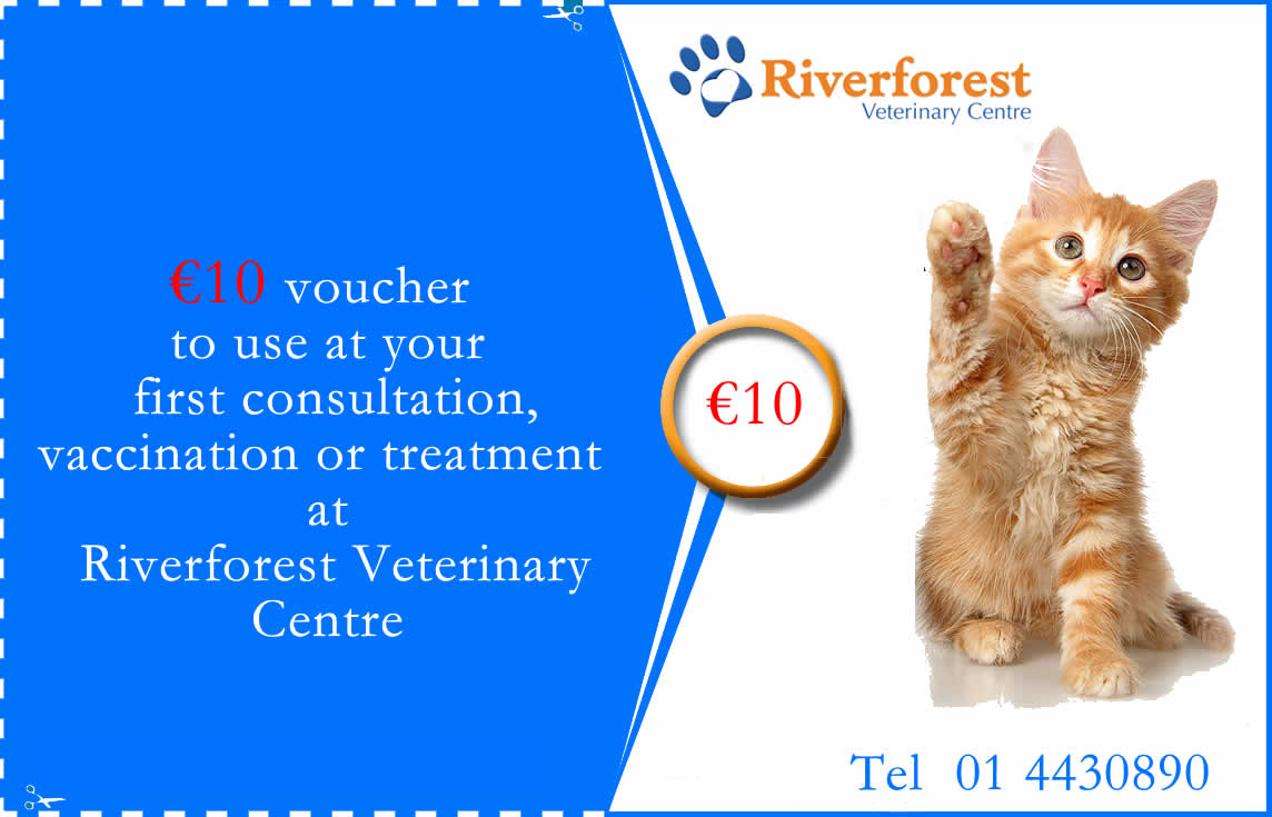 voucher at Riverforest vets